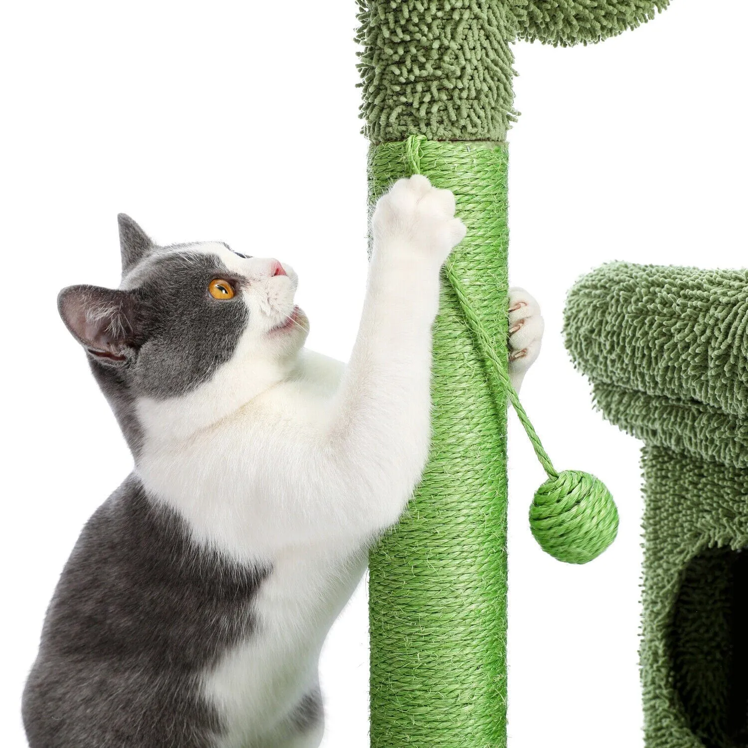 2 in 1 Condo & Cactus Cat Scratching Post / Tree / Pole