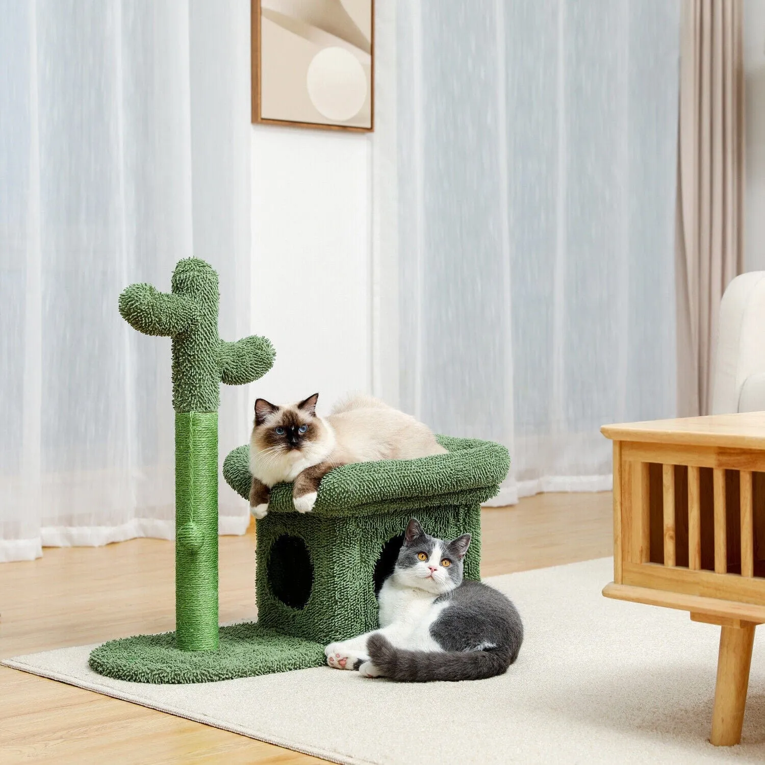 2 in 1 Condo & Cactus Cat Scratching Post / Tree / Pole