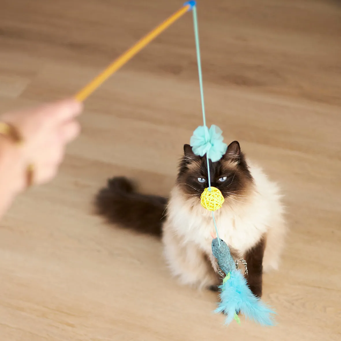 Bluebird Chase & Play Wand