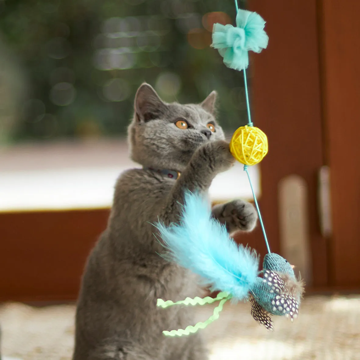 Bluebird Chase & Play Wand