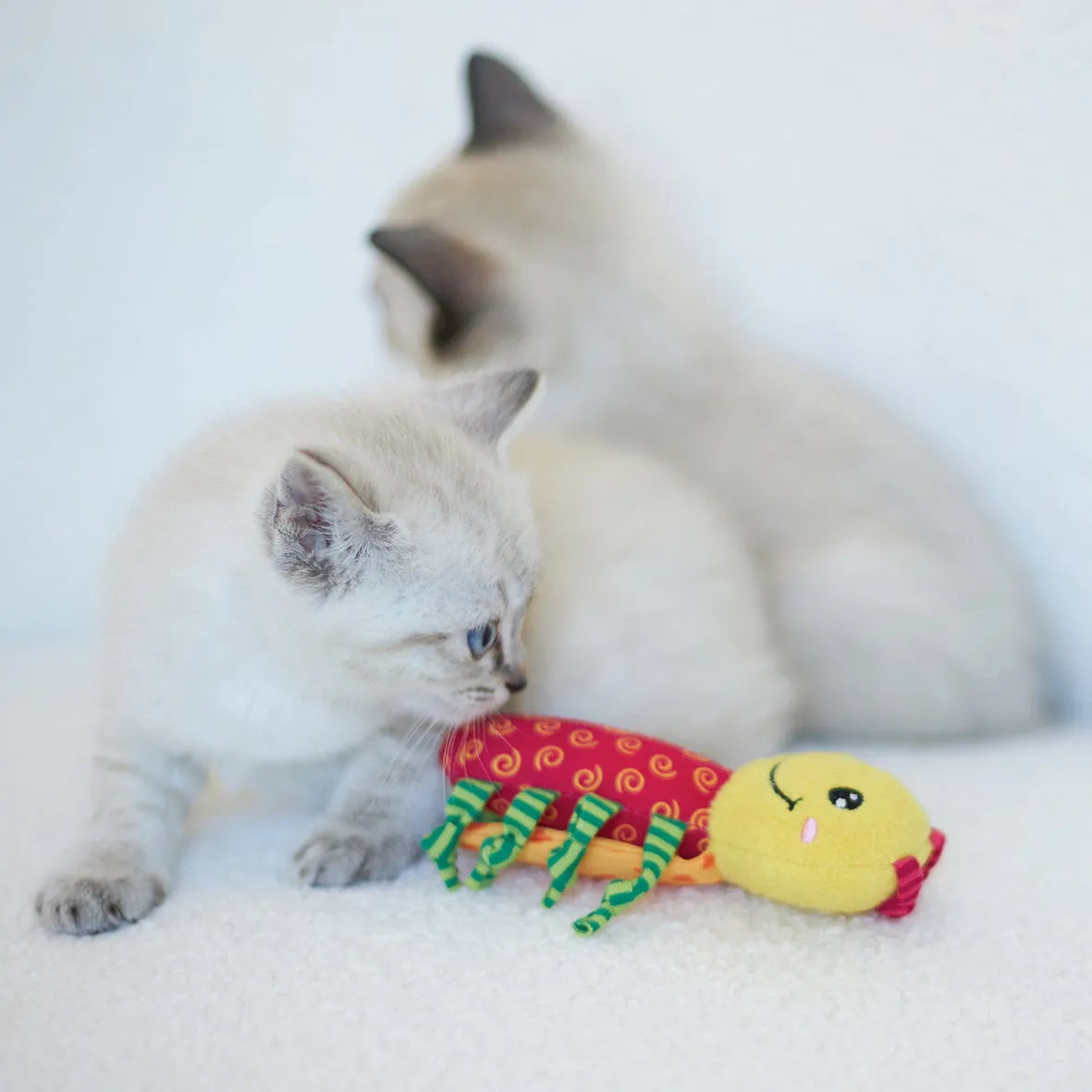 Crinkle Ladybug with catnip