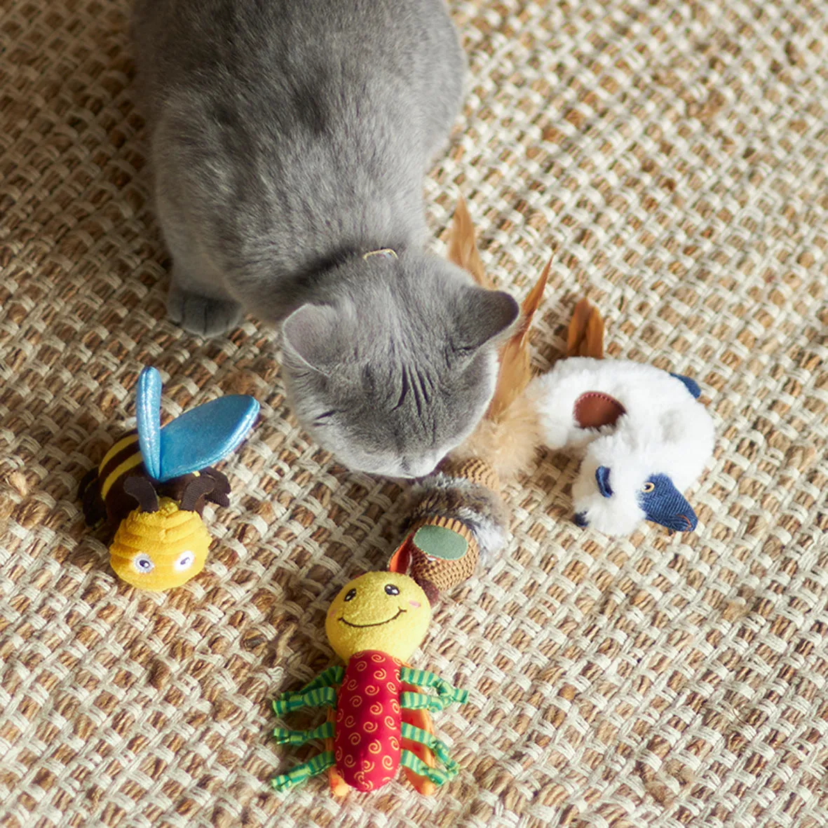Crinkle Ladybug with catnip