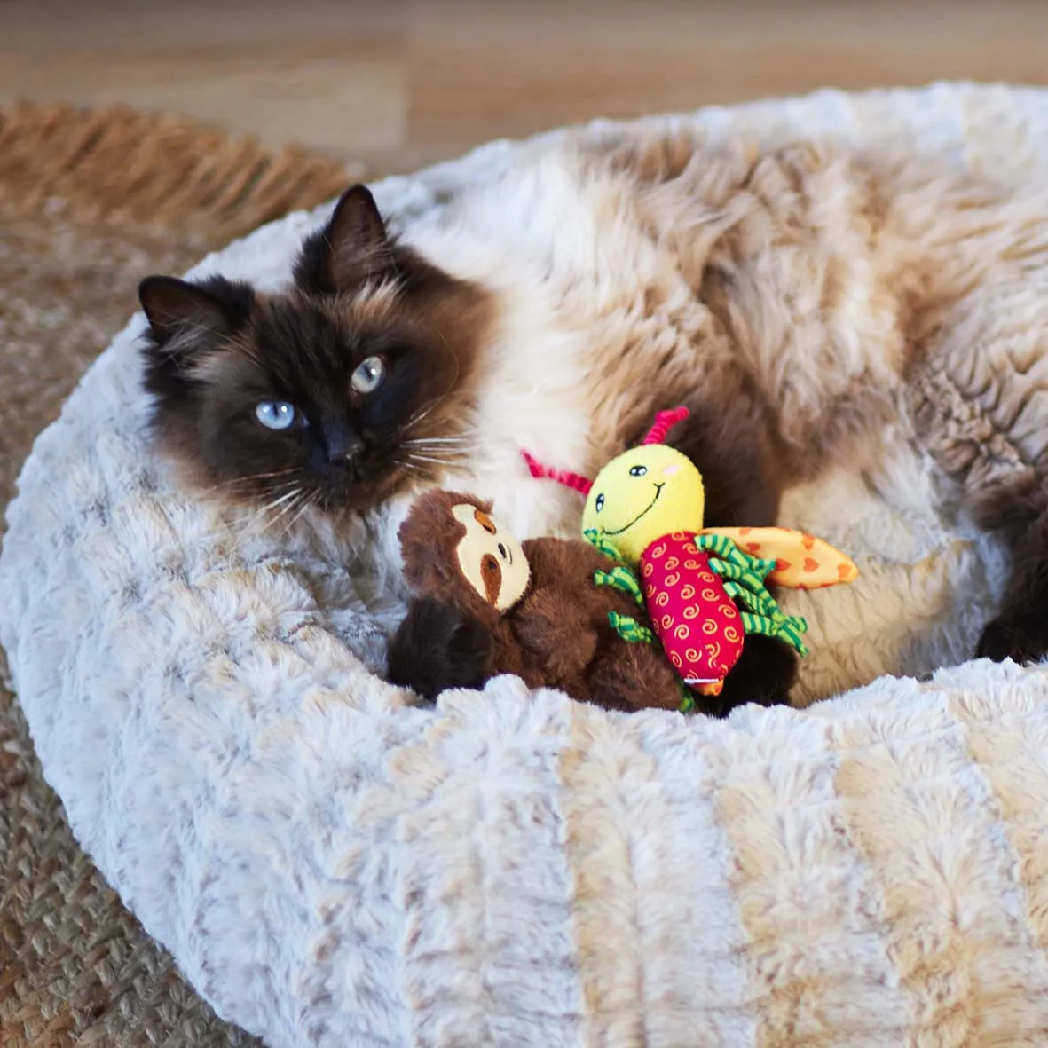Crinkle Ladybug with catnip