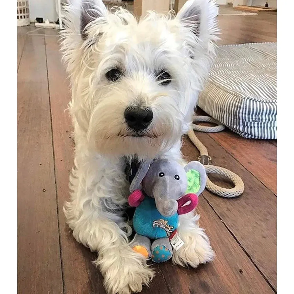 Elephant 'Plush Friendz' with Squeaker Medium