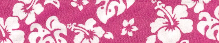 Elmo's Closet Hawaii Time Hot Pink Dog Collar