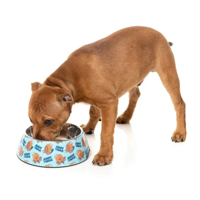 FuzzYard Ahoy There Dog Bowl Large^^^