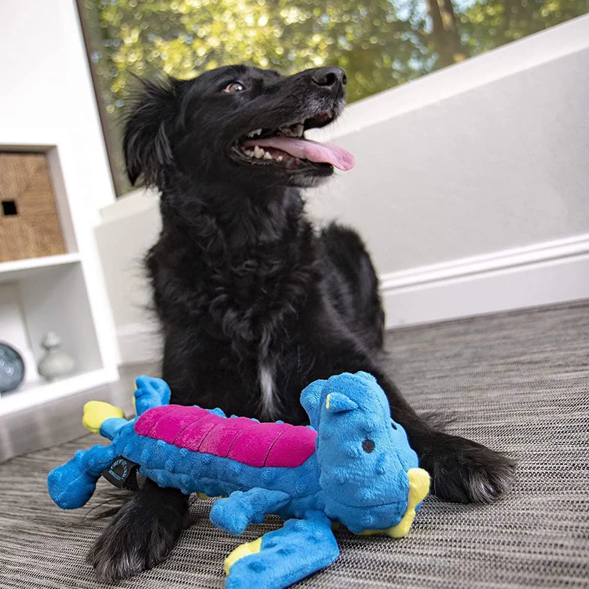 GoDog Large Turc Skinny Dragon Blue & Pink Belly