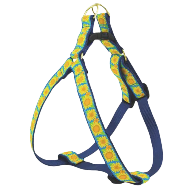 Harness | Bright Sunflowers