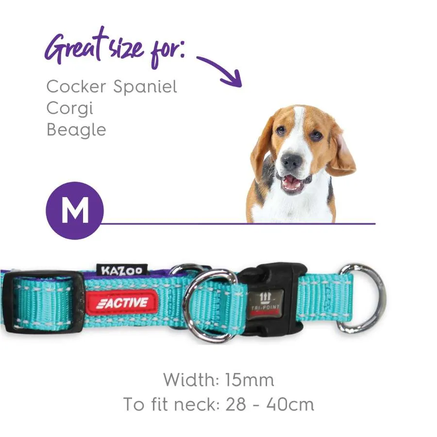 Kazoo Active DD Adjustable Nylon Collar Aqua Purple