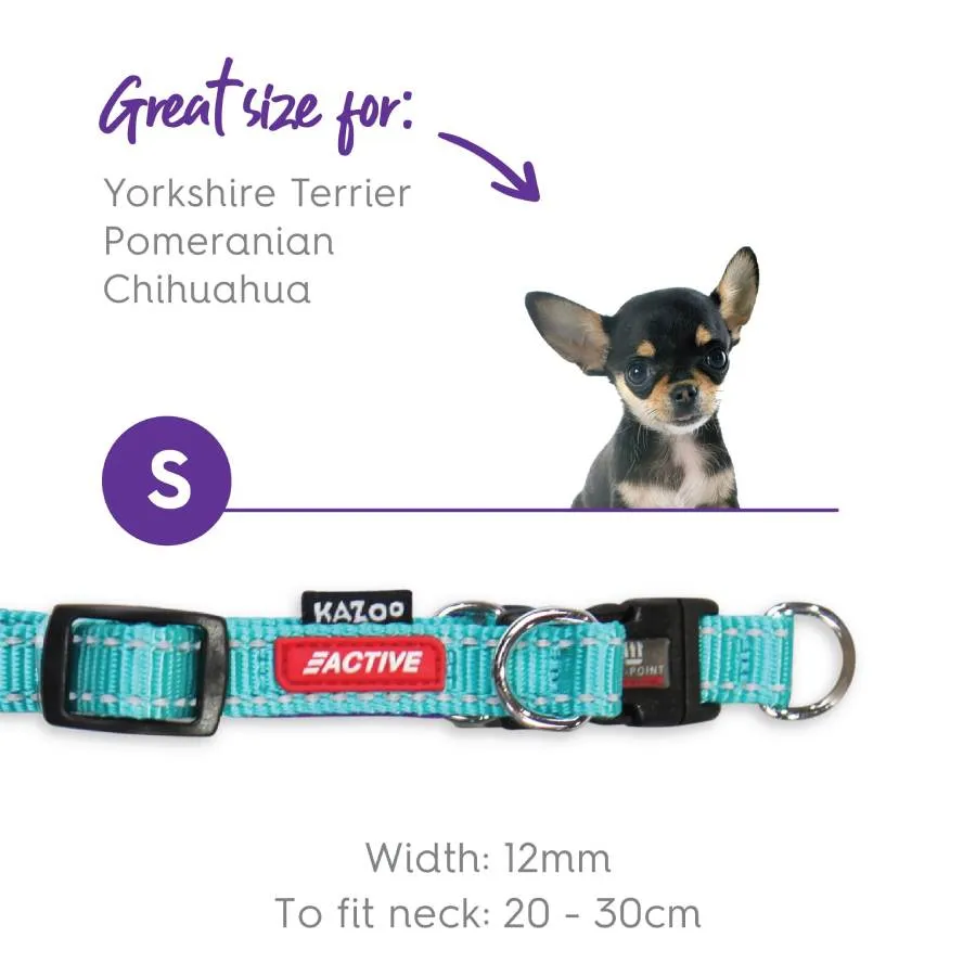 Kazoo Active DD Adjustable Nylon Collar Aqua Purple