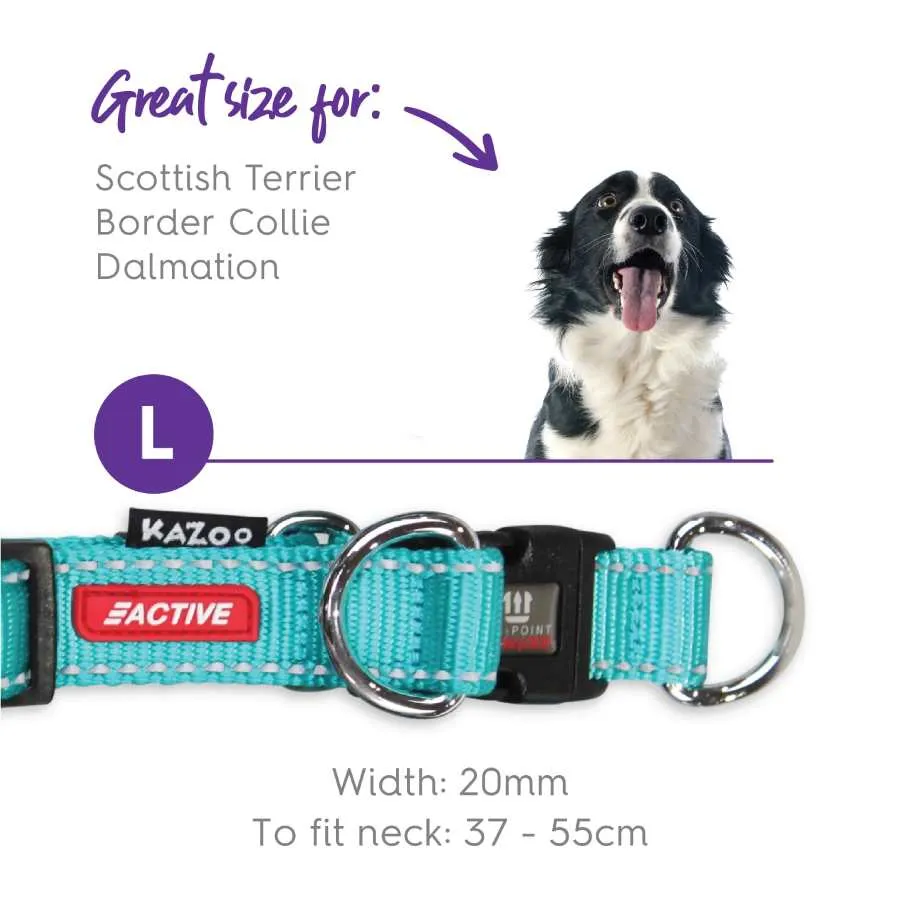 Kazoo Active DD Adjustable Nylon Collar Aqua Purple