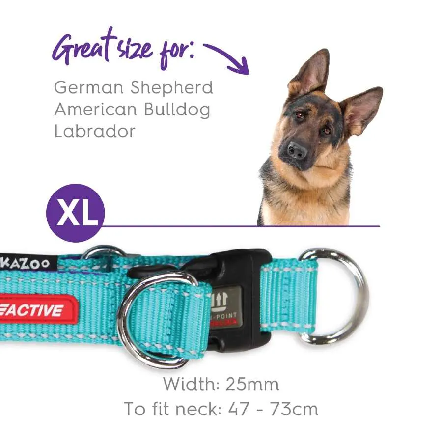 Kazoo Active DD Adjustable Nylon Collar Aqua Purple