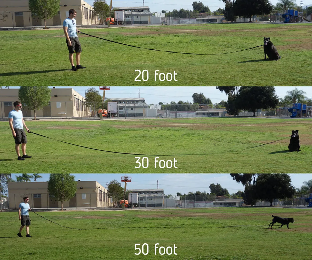 Long Trainer - 30 Foot 3/4 Inch Nylon Dog Training Leash with Storage Strap