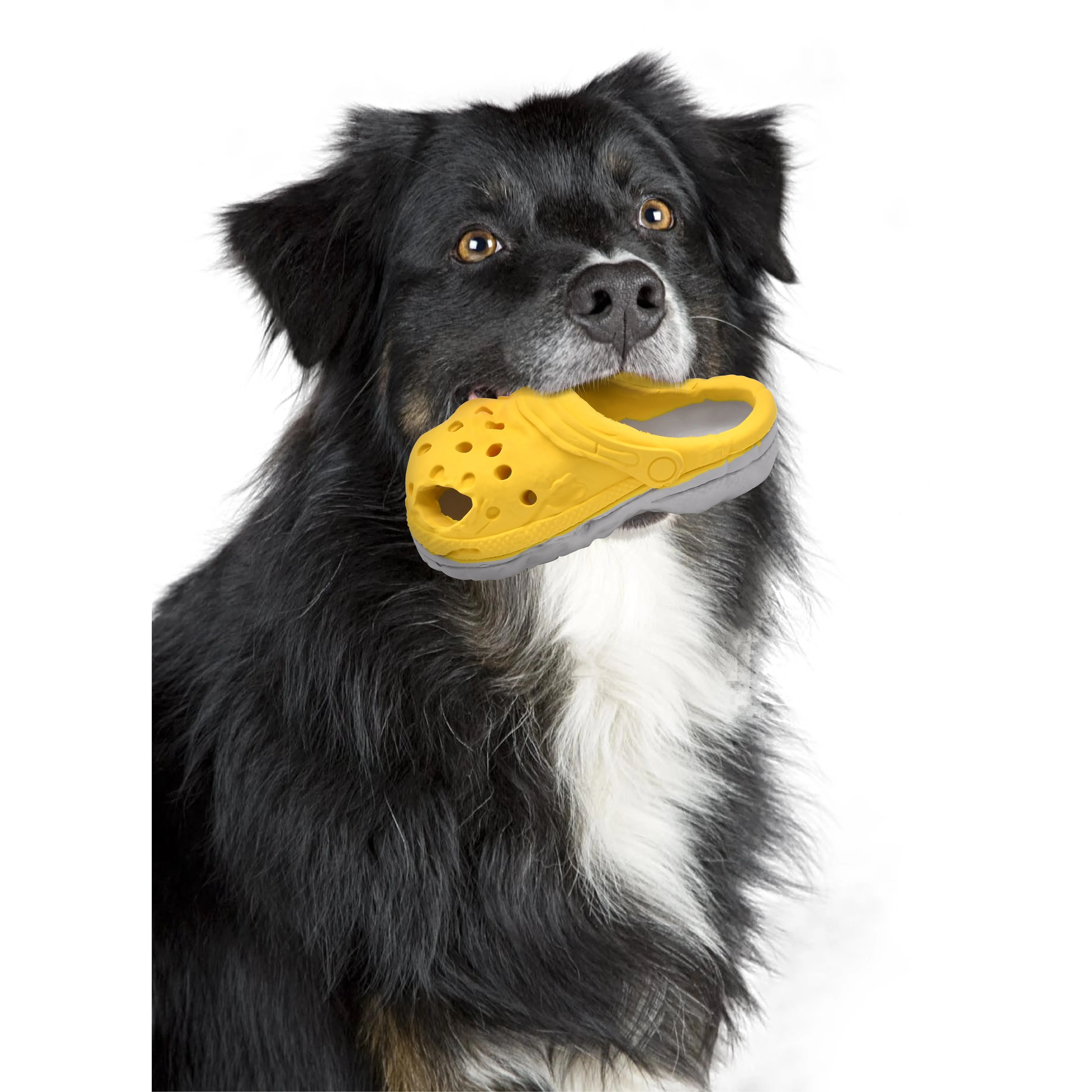 Petopia Tough Cozy Slipper Large Rubber Dog Toy Assorted Colours^^^