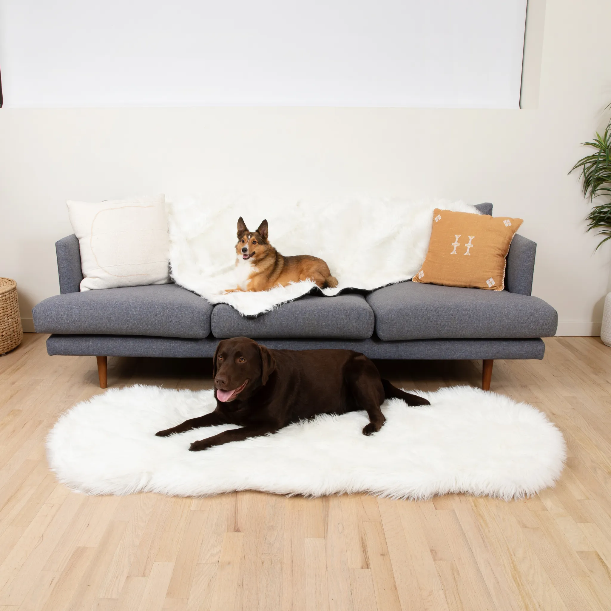 PupRug™ Orthopedic Runner Bed   Matching Waterproof Blanket Bundle - Polar White