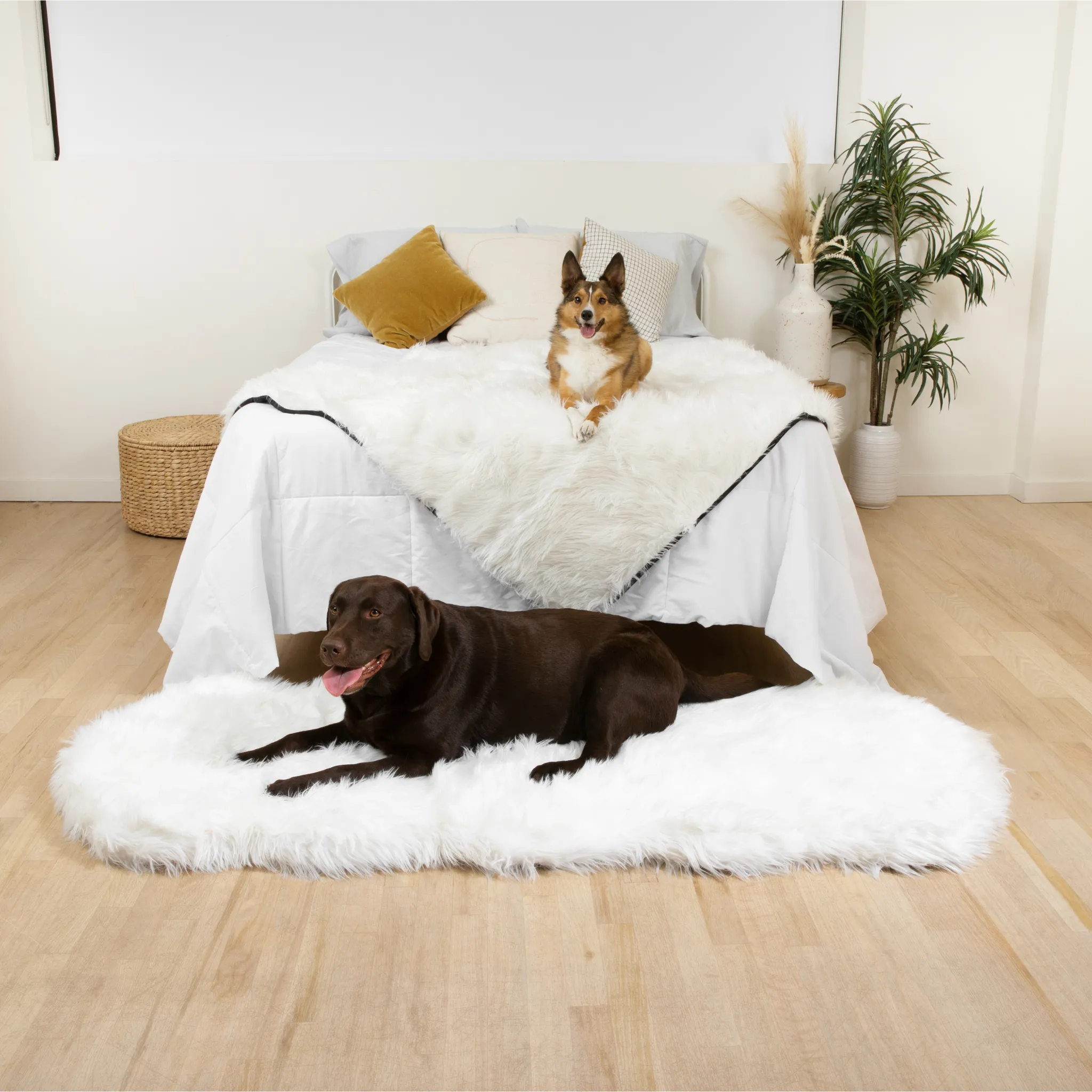 PupRug™ Orthopedic Runner Bed   Matching Waterproof Blanket Bundle - Polar White