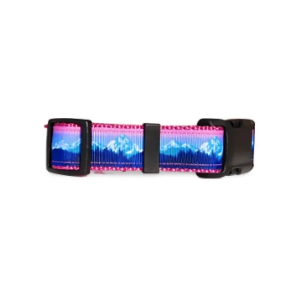 Rocky Mtn Hound Pink Mountain Dog Collars and Leashes