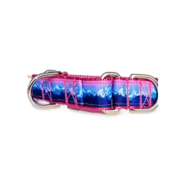 Rocky Mtn Hound Pink Mountain Dog Collars and Leashes