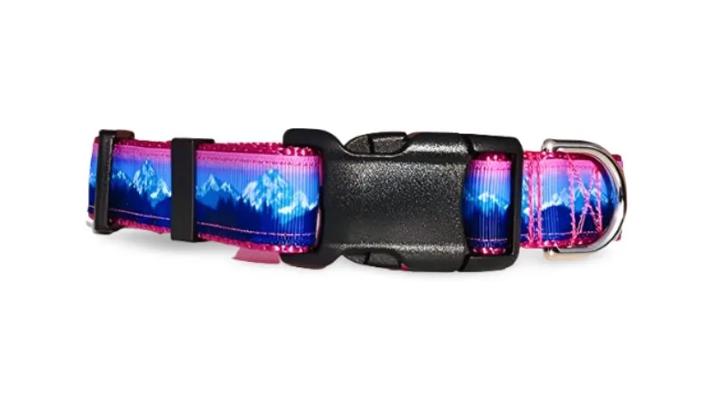 Rocky Mtn Hound Pink Mountain Dog Collars and Leashes