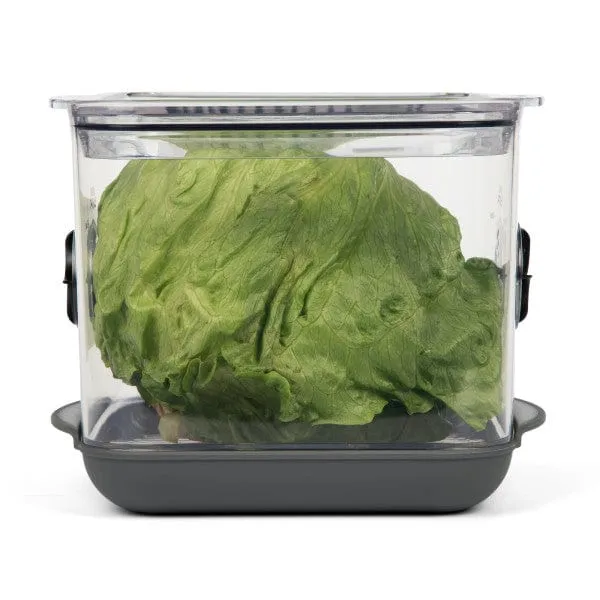 Square Produce Prokeeper  by Progressive