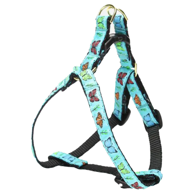 Teacup Harness | Butterfly Effect